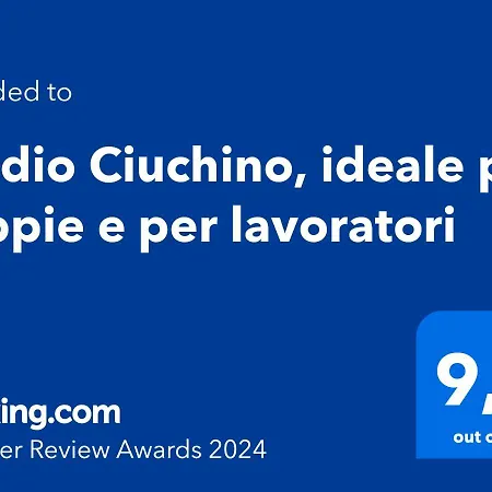 Studio Ciuchino, Ideale Per Coppie E Per Lavoratori Apartment